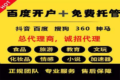 SEM托管服务成功案例：让广告投放更精准、更高效
